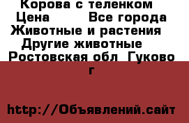 Корова с теленком › Цена ­ 69 - Все города Животные и растения » Другие животные   . Ростовская обл.,Гуково г.